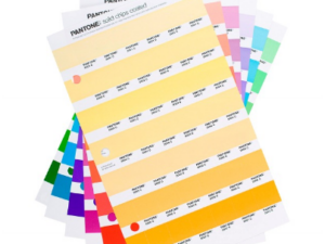 PANTONE Replacement Page Solid Chips Coated & Uncoated