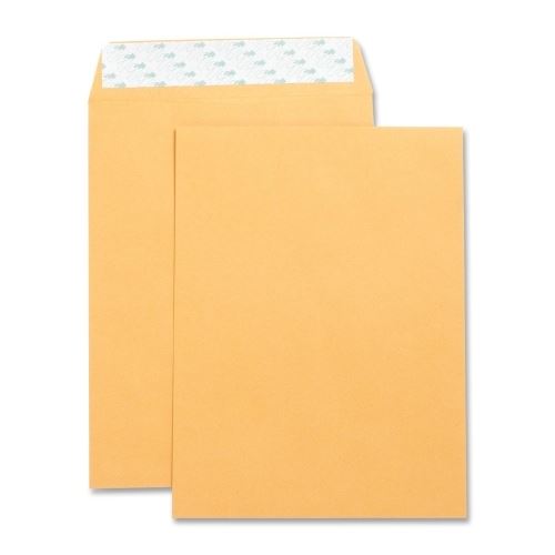 Envelopes Self Sealing 9x12 Kraft 250/Pk