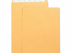 Envelopes Self Sealing 9x12 Kraft 250/Pk