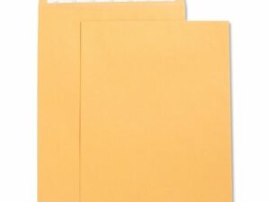 Envelopes Self Sealing 10x13 Kraft 250/Pk