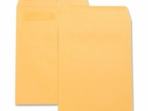 Envelopes Catalog Press/Seal 9x12 100/Pk