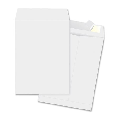Envelopes Tyvek 9x12 White O/E 100/Pk