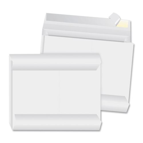 Envelopes Tyvek 12x16x2 White O/S 100/Pk
