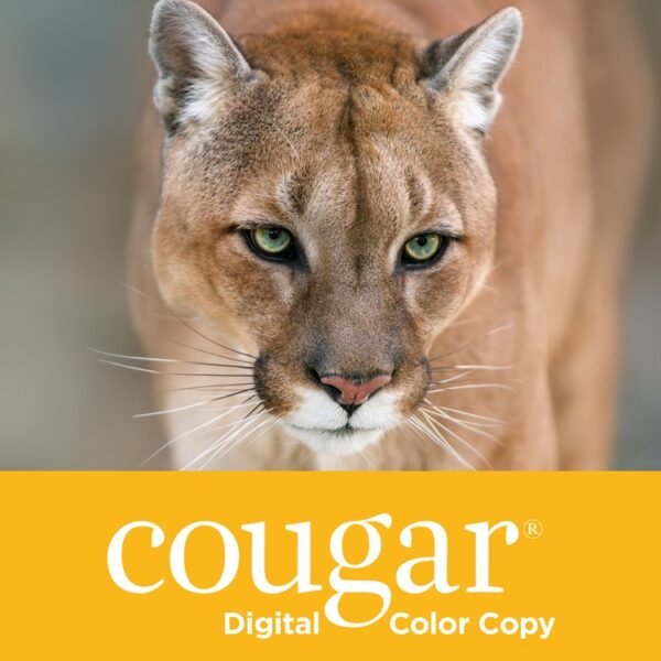 Cougar Digital Clour Copy Super Smooth 100lb Text 11"X17" Carton of 1250