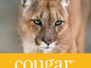 Cougar Digital Clour Copy Super Smooth 80lb Text 11"X17" Carton of 1500